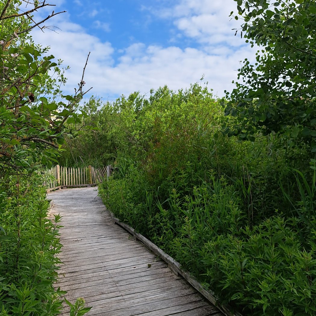 Sentier Découverte De La Dune Parabolique 3